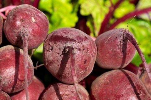 beet
