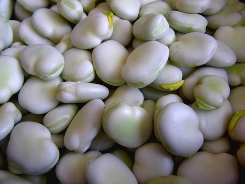 broad beans